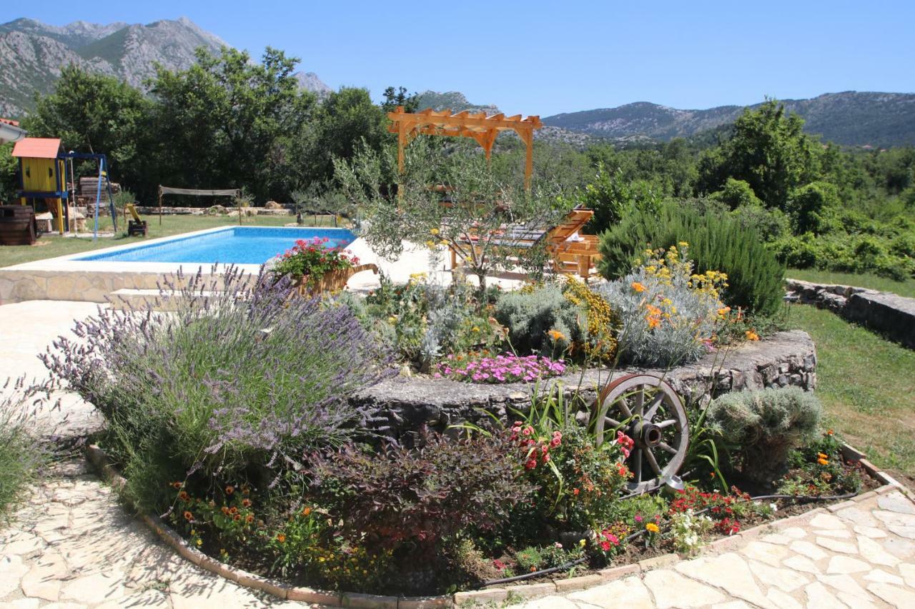Oak House Villa Zadvarje Dış mekan fotoğraf