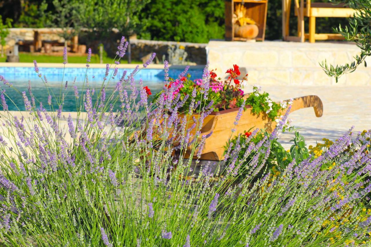 Oak House Villa Zadvarje Dış mekan fotoğraf