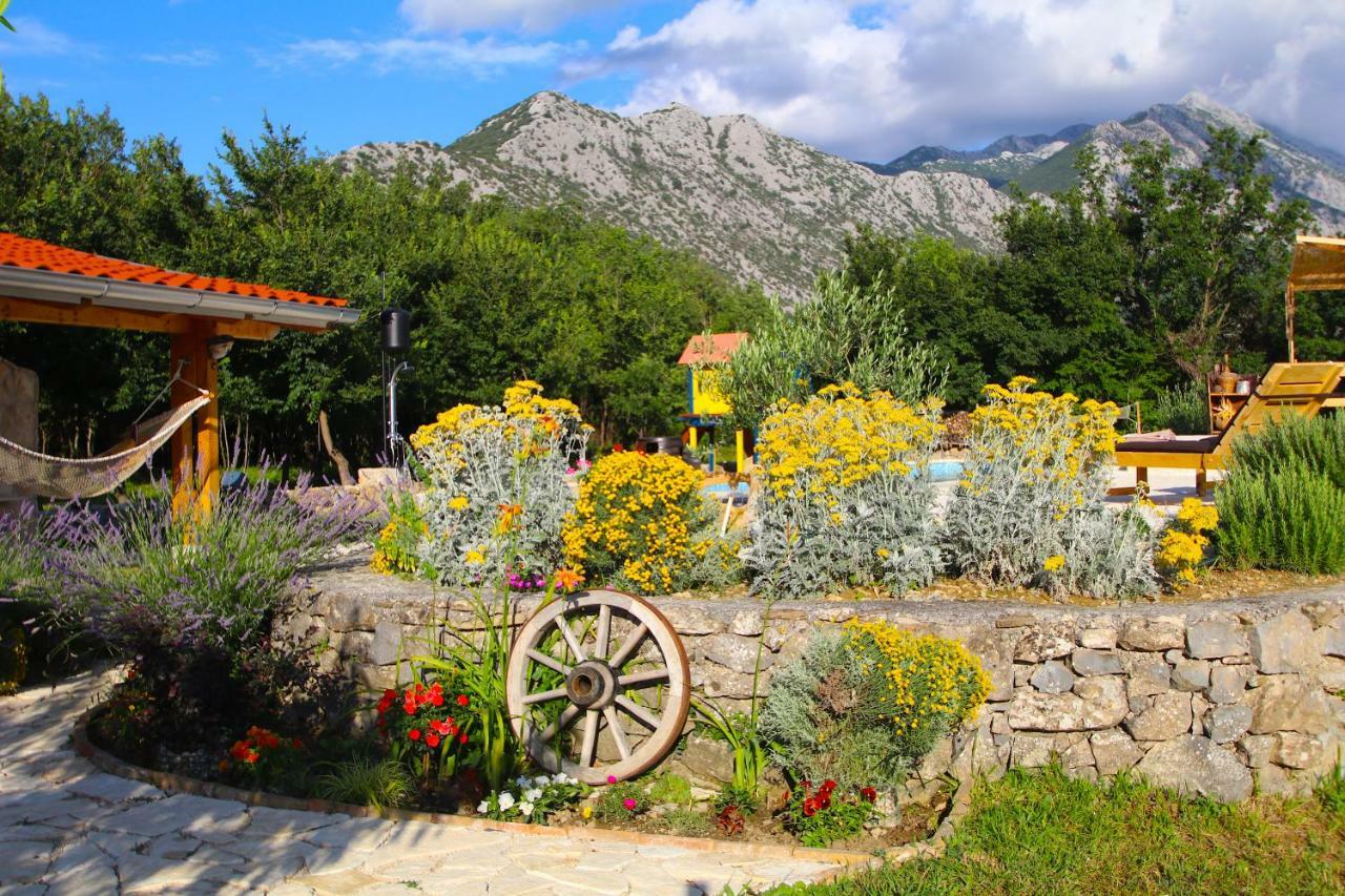 Oak House Villa Zadvarje Dış mekan fotoğraf